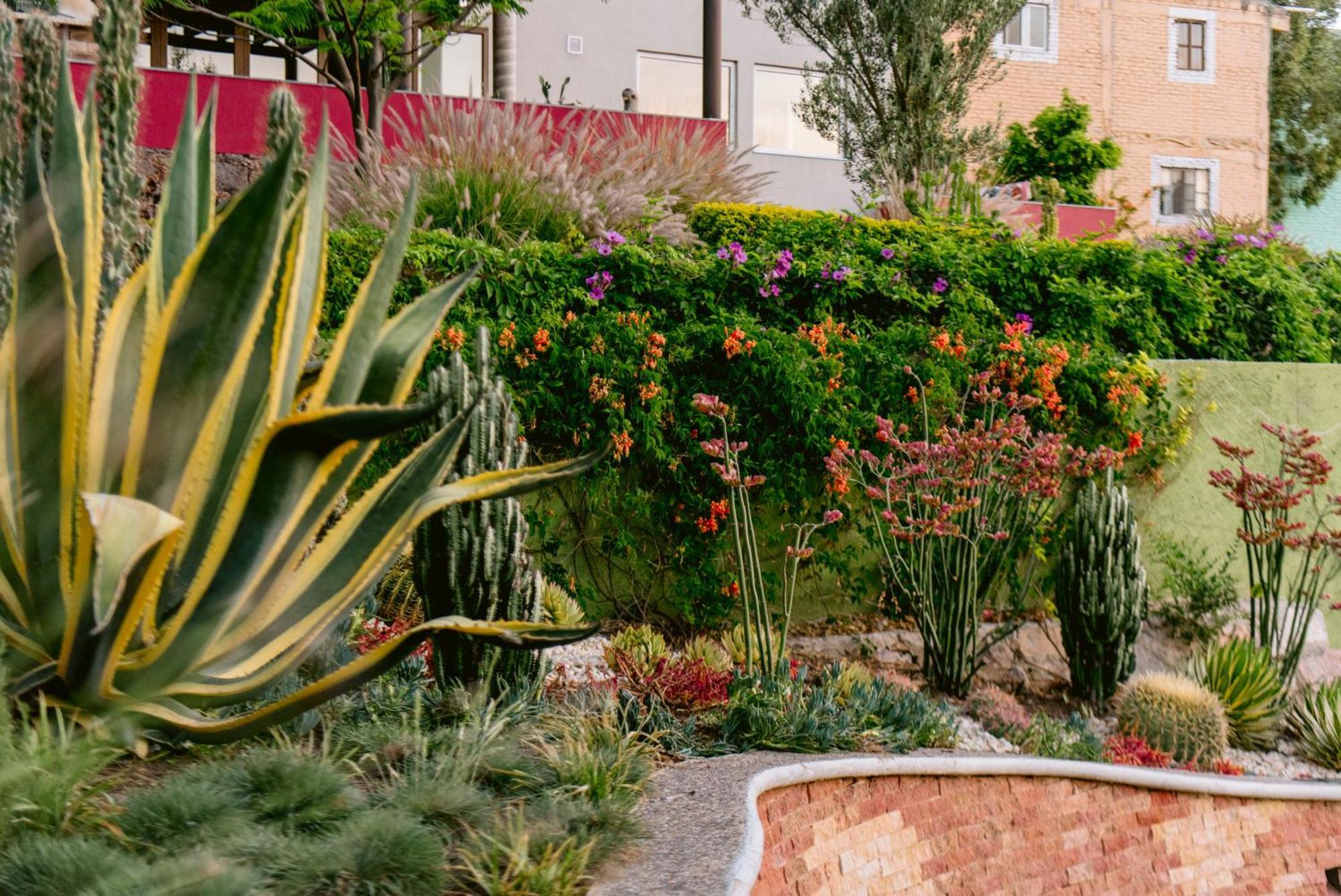 Terra Vista Guanajuato Exterior foto